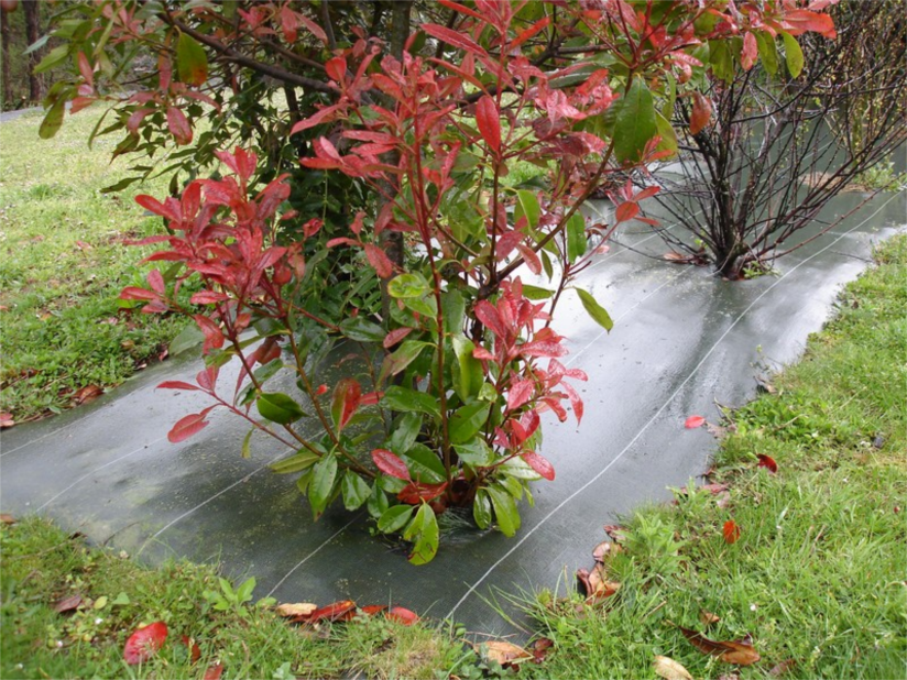 chantier geopaillis 90